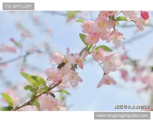 开运网站app助你改善运势，让命运走向更加顺畅