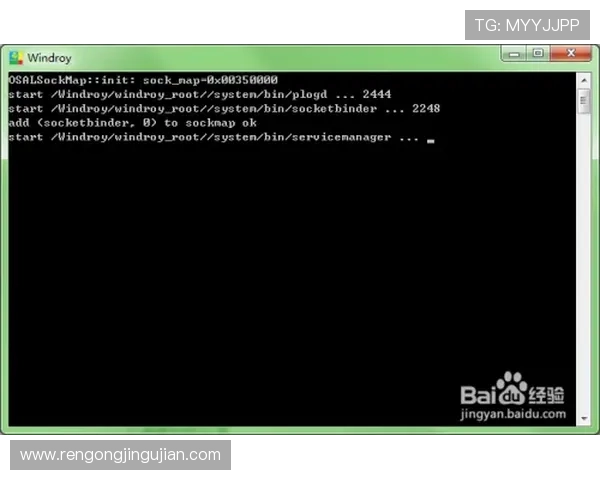 问鼎登录下载最新版本，持续更新优化带来更流畅的使用体验